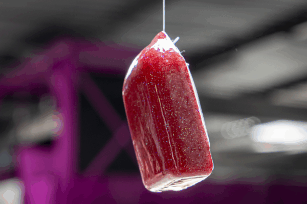 Inauguration DASTRI LAB